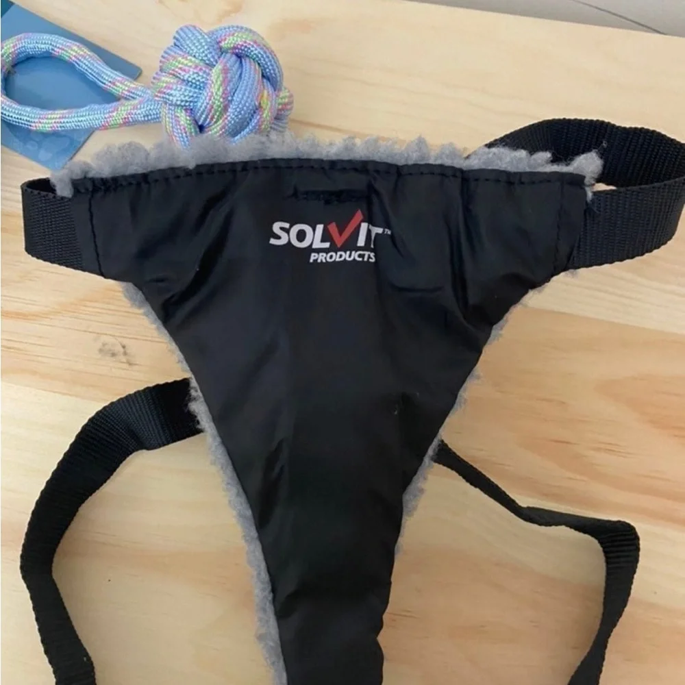 6 pc of dog accessories